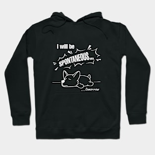 Funny animals Hoodie